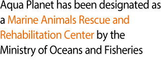 Aqua Planet has been designated as a Marine Animals Rescue and Rehabilitation Center by the Ministry of Oceans and Fisheries.