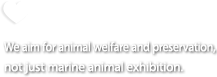 Animal Protection :We aim for animal welfare and preservation, not just marine animal exhibition.
